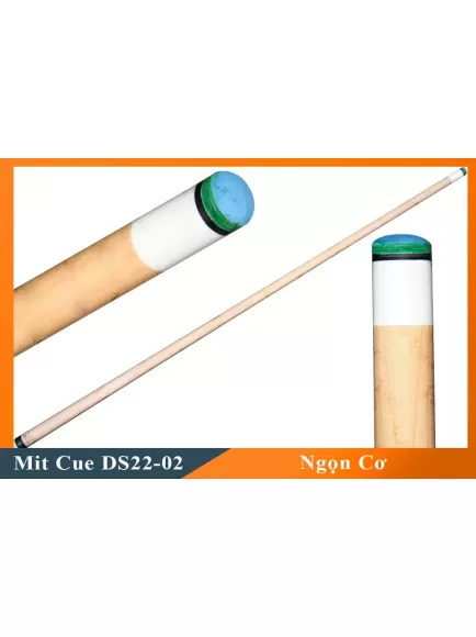 Cơ Bida Lỗ Mit DS22-02