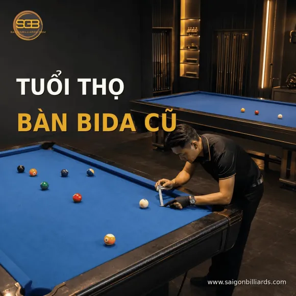 TIN TỨC