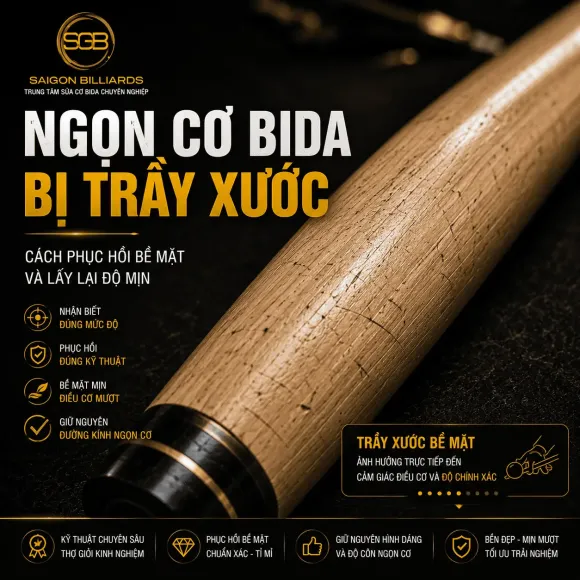 Cơ bida