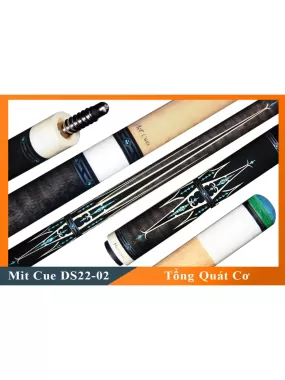 Cơ Bida Lỗ Mit DS22-02