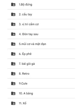 22 Bộ Video Học Bida Libre