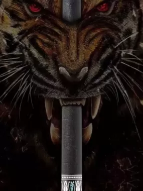 Cơ Bida 3 băng JFlowers - 10 - 22