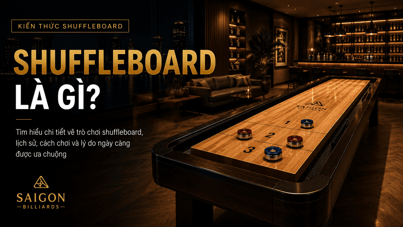 Infographic t&oacute;m tắt th&ocirc;ng tin quan trọng về shuffleboard l&agrave; g&igrave;.