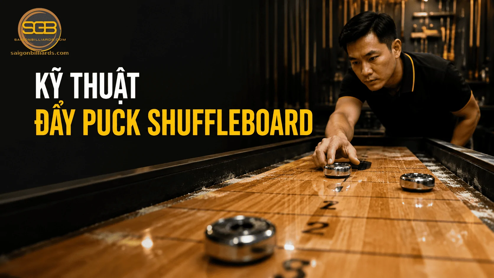 kỹ thuật đẩy puck shuffleboard