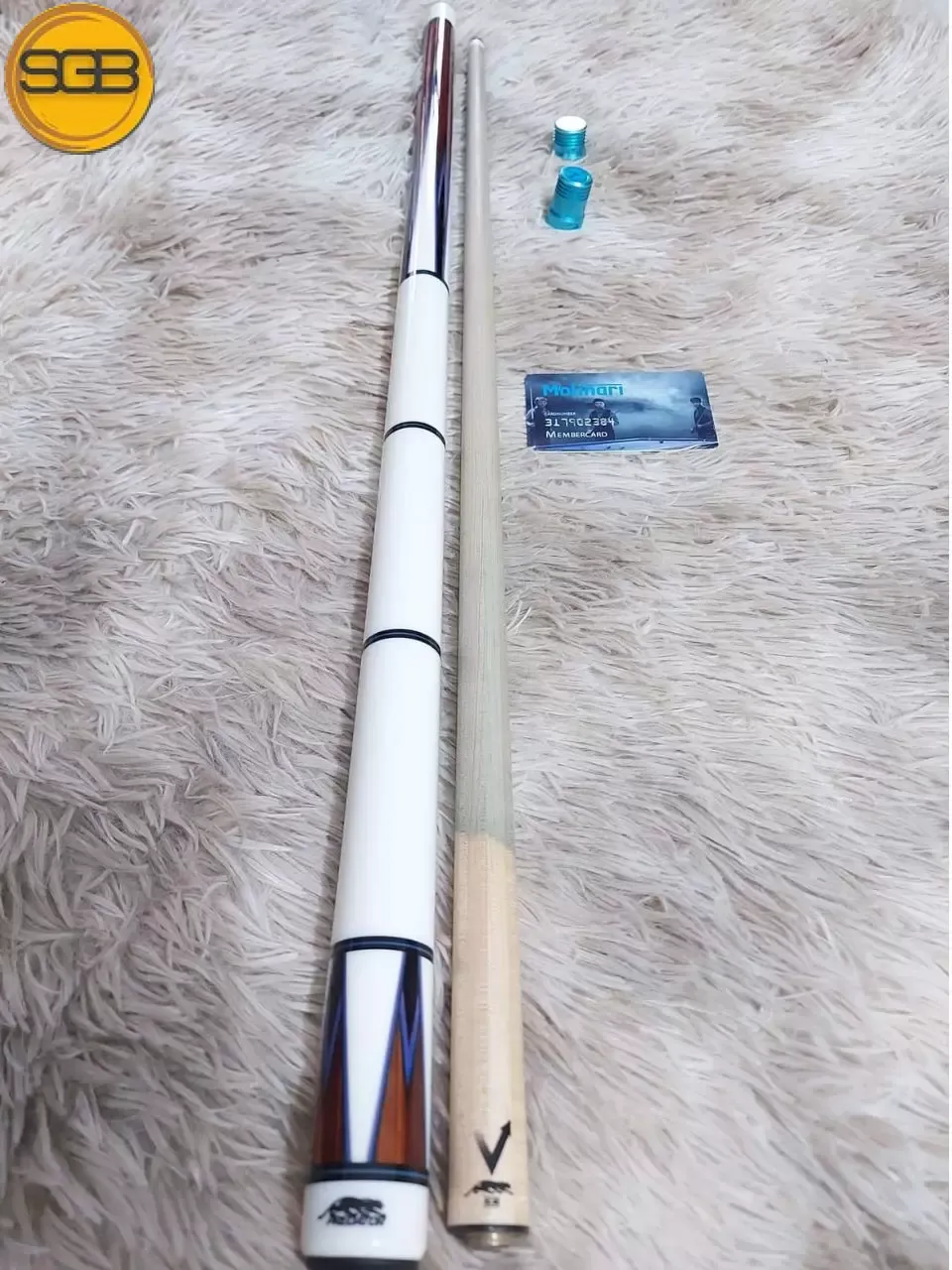 Cơ bida 3C Molinari Moli Tran ( Tran Quyet Chien)